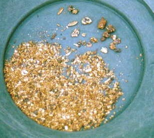 Gold in a gold sifting pan