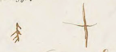 Marks of Minne Cornelis and Brecht Alberts, marriage intentions, 1626