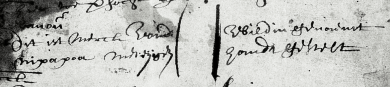 Nipapoa signature