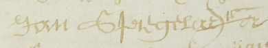 Signature of Jan Spiegelaer, Flatbush, 1686.